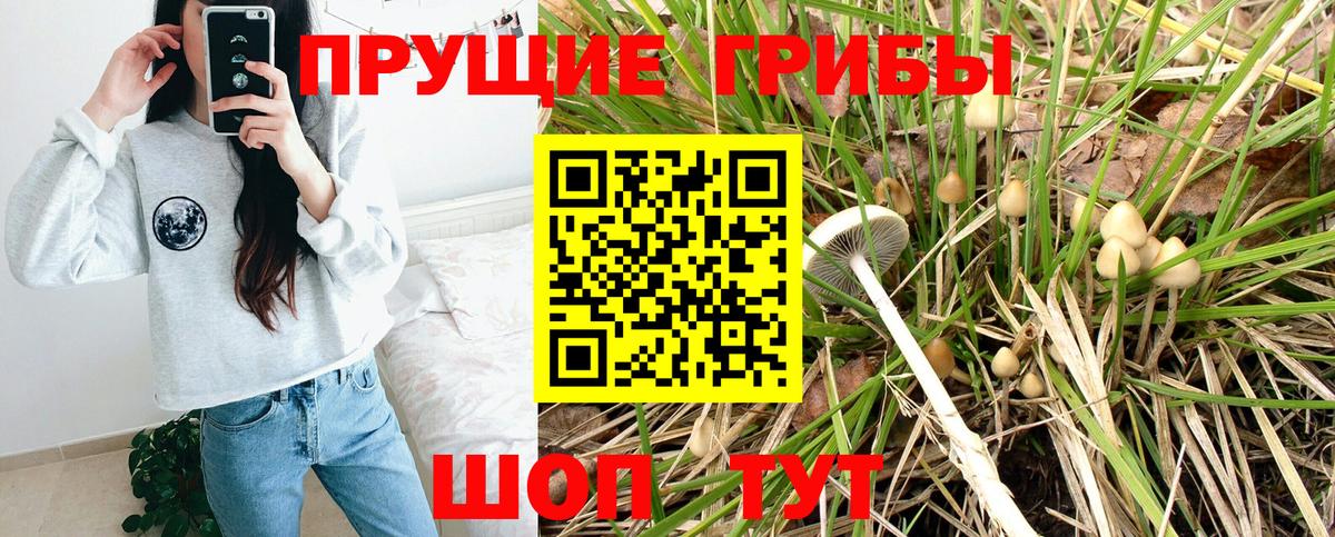 хочу   Вход с VPN  Клин  Галлюциногенные грибы прущие грибы 