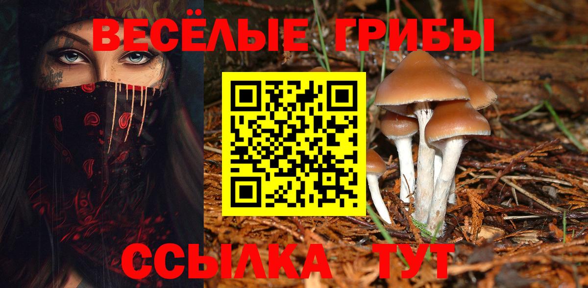 Галлюциногенные грибы Psilocybe Клин